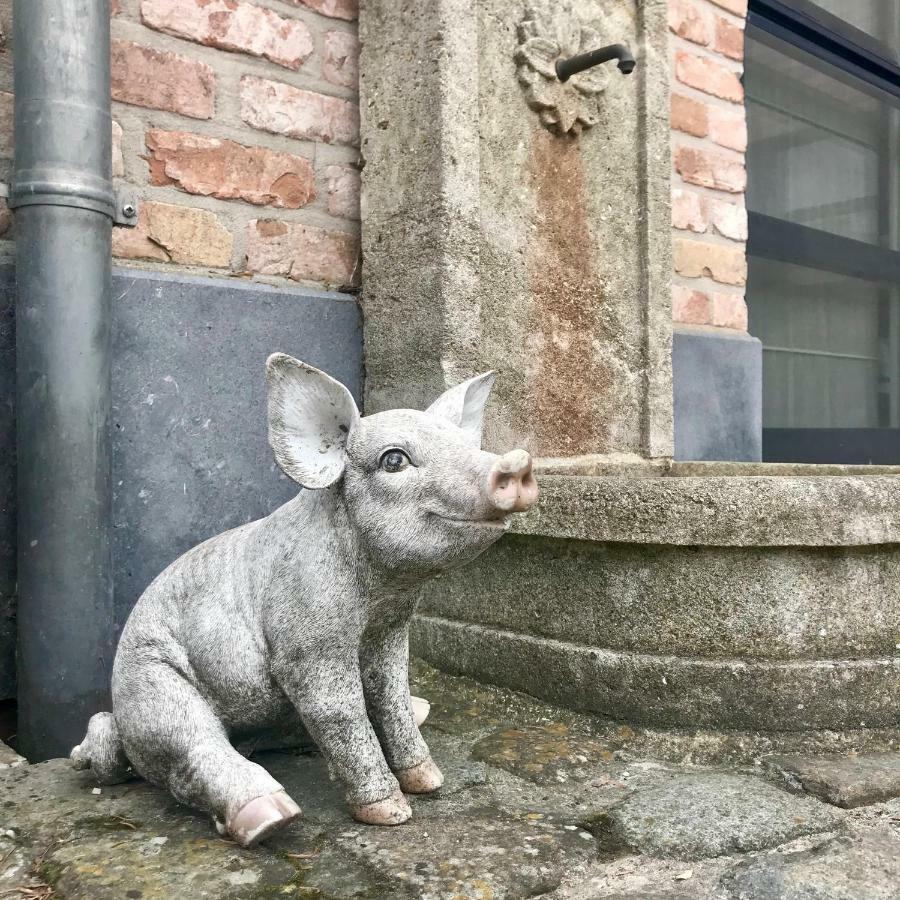 Hof Leskensdaele Deluxe Villa Geraardsbergen Exteriör bild